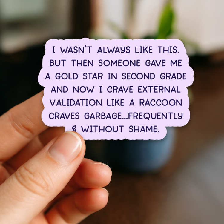 External Validation Raccoon 3" Vinyl Sticker