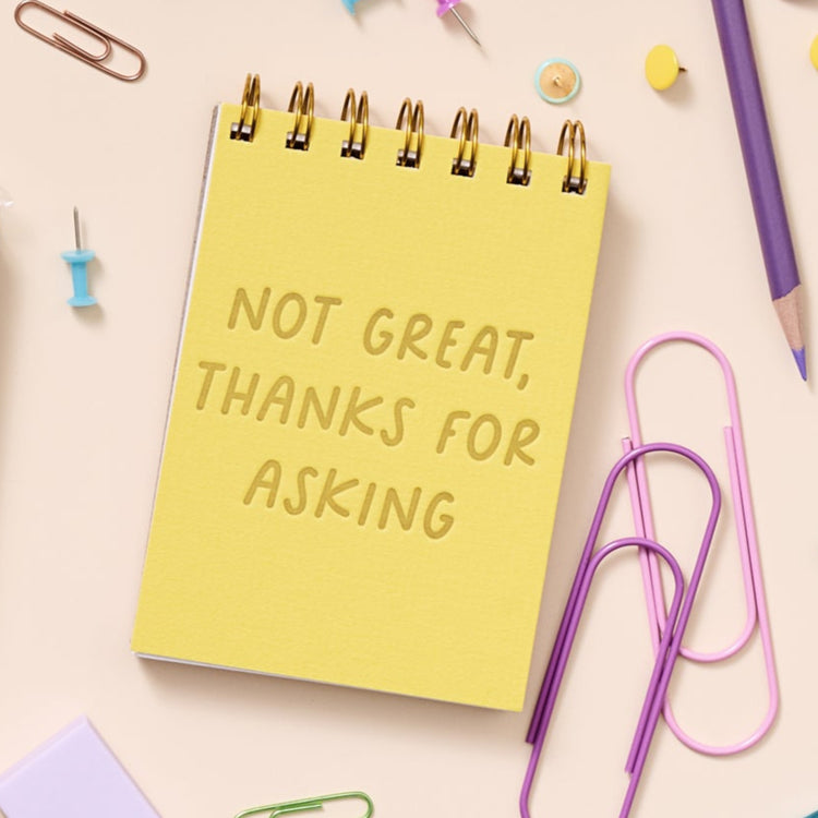Funny sarcastic notebook for notes, rants, and spirals.